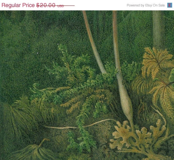 1892 Antique Botanical Print Ghost Orchid (Epipogium aphyllum)  Color Lithograph