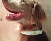 IVY in BLUE Dog Collar HANDMADE