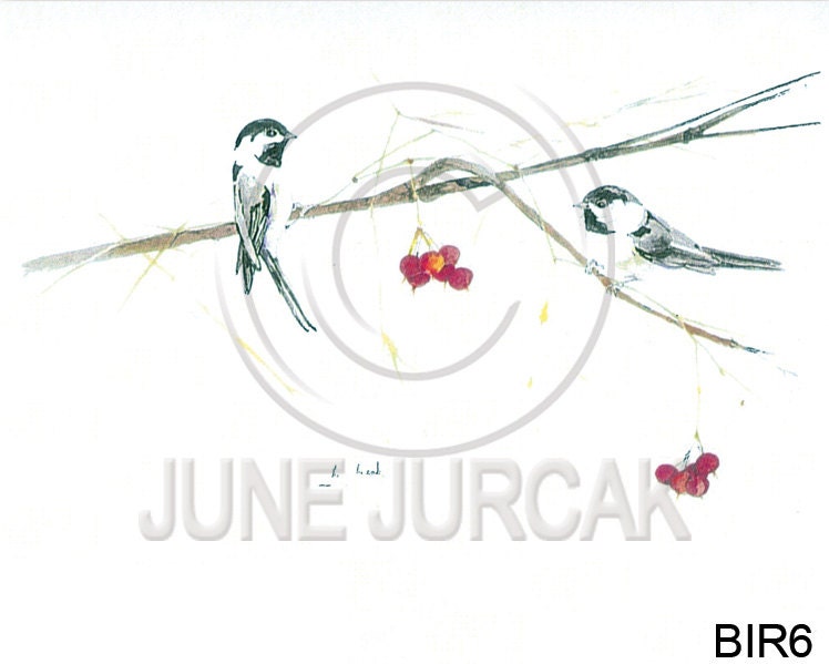 Watercolor Birds and Berries Greeting Card - Painting by June Jurcak