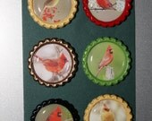 Cardinal Bottlecap Magnets (set of six)