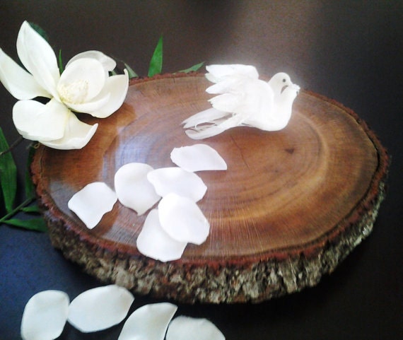 TREASURY ITEM - 14" Natural Oak Tree trunk Slice - Rustic Wedding - Home decor - Photo prop