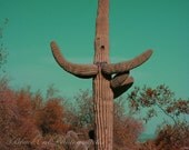 Wild West Fine Art Print, desert landscape, Nature Print, Vintage turquoise, retro outdoors 8x12 photo, Southwest travel