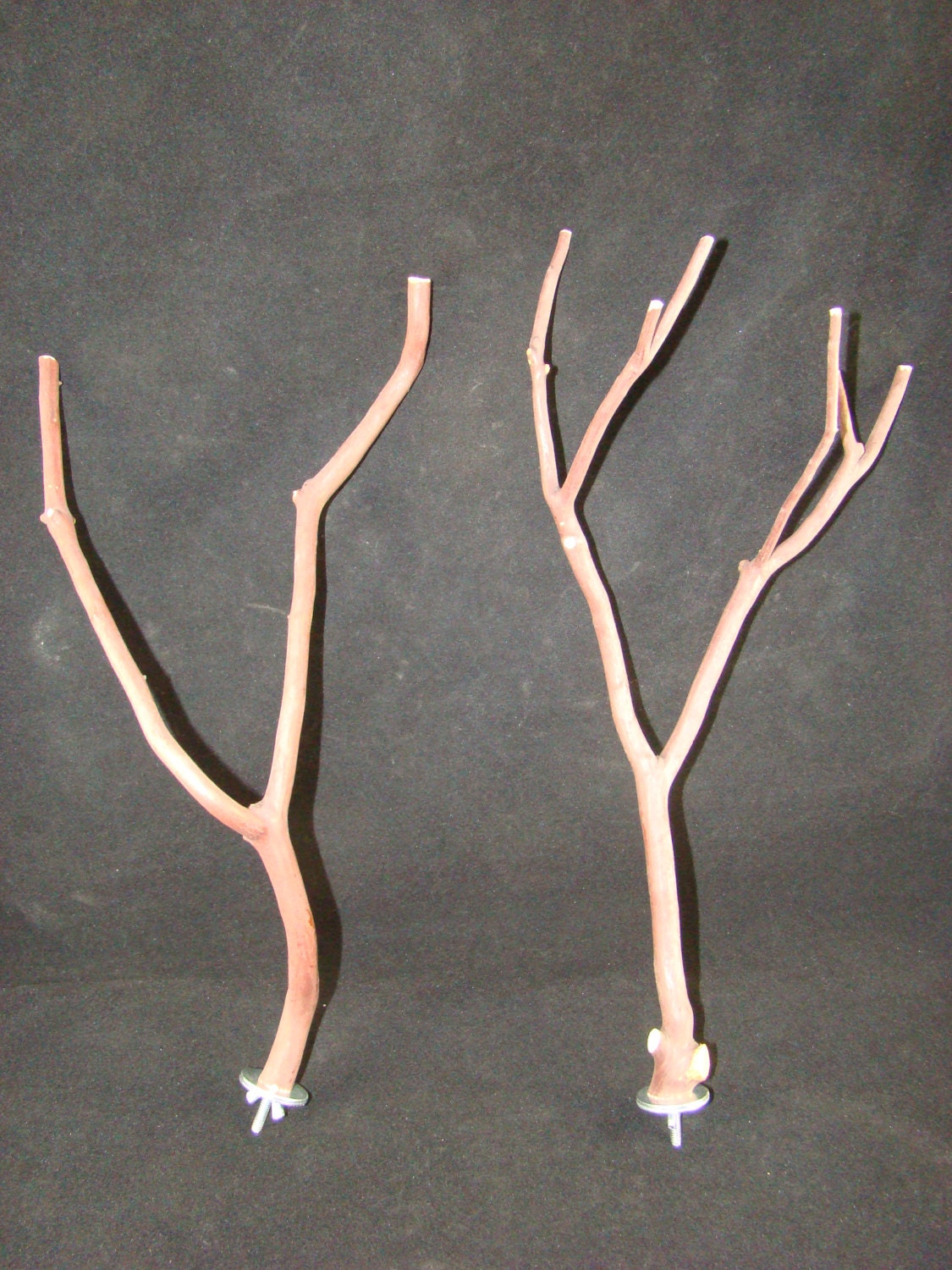 Manzanita Multibranch Bird Perches, Set of Two with Hardware