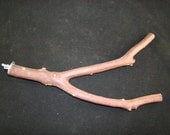 Manzanita Multibranch Bird Perch, Large Diameter