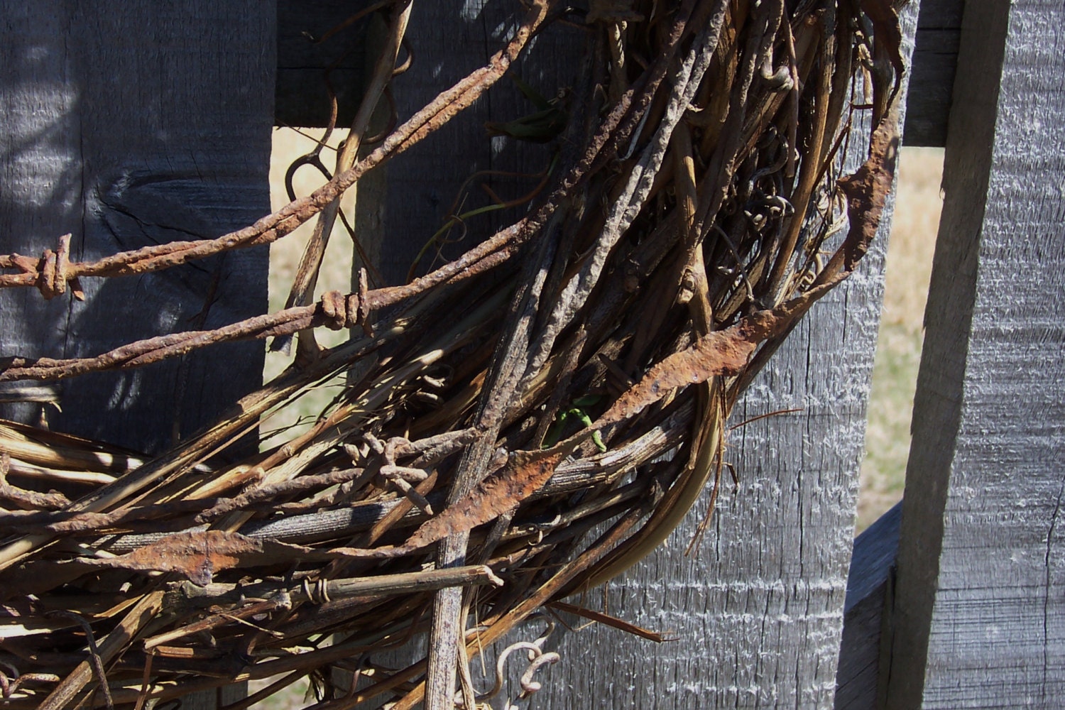 Barbed Wire Grapevine Wreath - Rusty Patina Farmhouse Country Decor Rustic Industrial, Rustic Garden