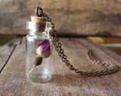 Real Rose Bud Necklace in Miniature Bottle Beauty and the Beast Inspired