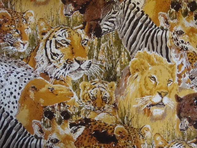 Wildlife Safari Wallpaper BTY