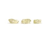Sunstone Rough Gem Quality Stones 6 Crystals 16mm - 22mm, 49 Carats (Lot No. 3806) For Wire Wrapping and Jewelry Making, Oregon