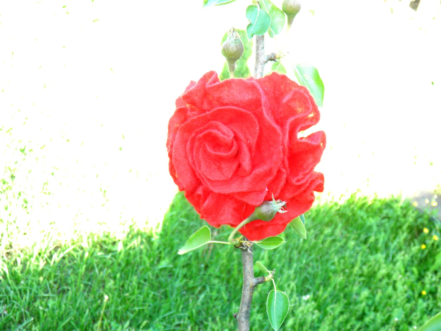 felted flower brooch red rose, felt rose pin, wool felt flower brooch