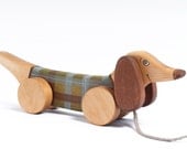 Kids Wooden Toy pull along toy Green Dog