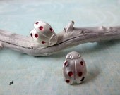 Ladybug stud earrings, Sterling Silver post earrings
