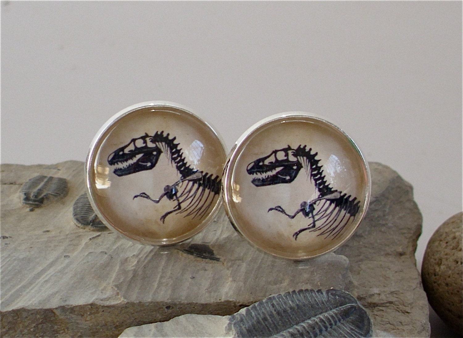 Dinosaur Fossil Cufflinks / Cuff Links - Tyrannosaurus Rex - Antique Dinosaur Print Cufflinks in Silver w/ Glass - T-Rex - Jurassic Park