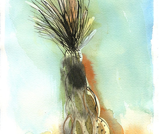 Xanthorrheoa Australian Native Plant Small Ink Painting in Blue, Orange, Brown. Mother's Day