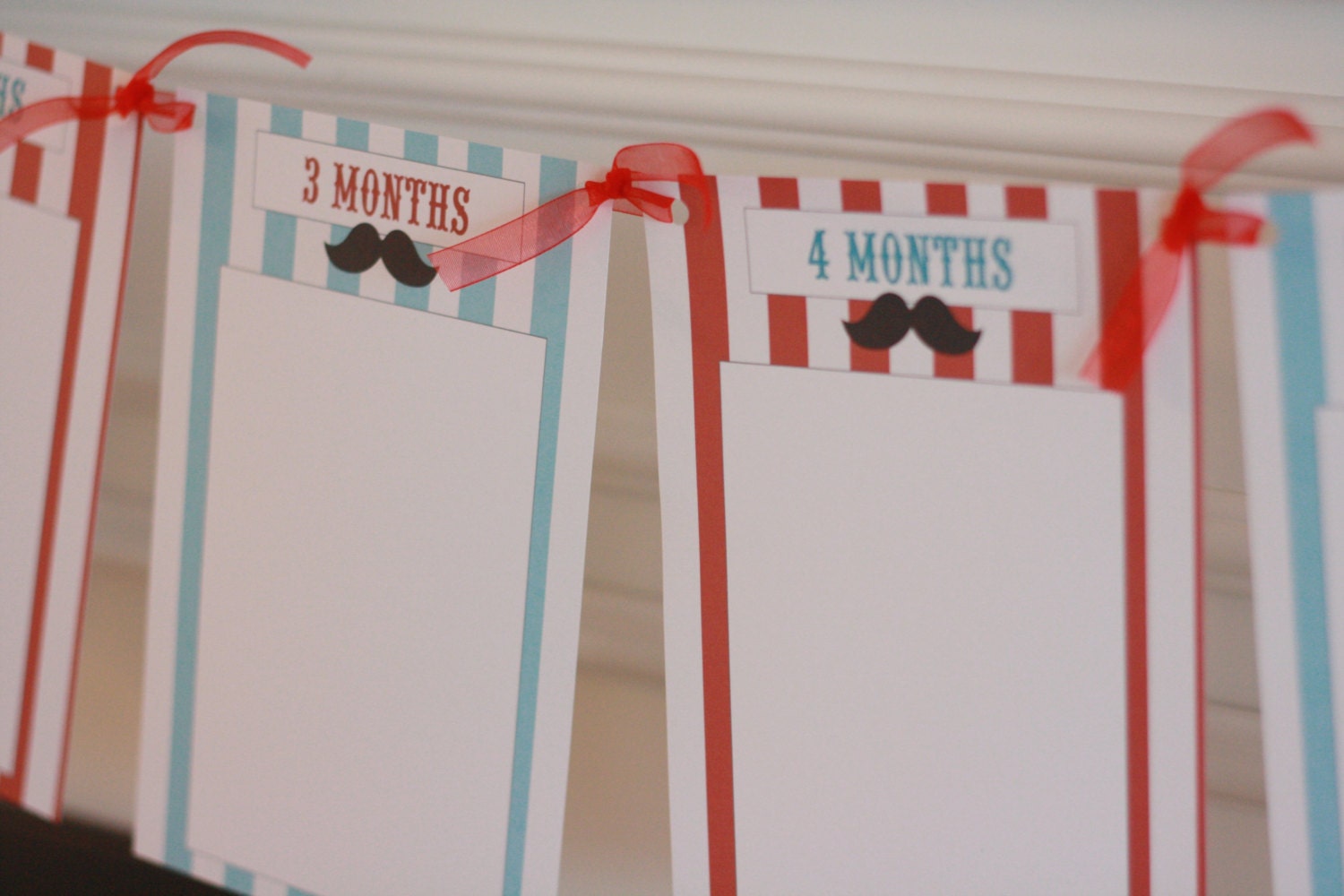 Photo Banner - 1st Year - Great for 1st Birthday Parties, Showers and More - Can Match Any Theme in My Shop - Free Ship Over 60.00