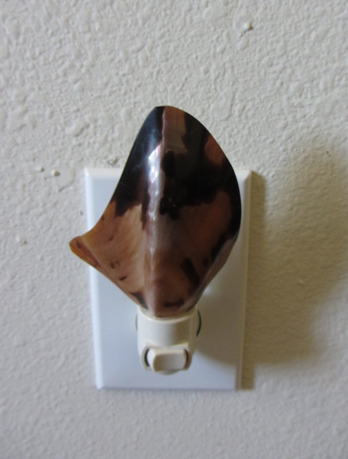 Beach Decor - Atlantic Wing Oyster Shell Night Light