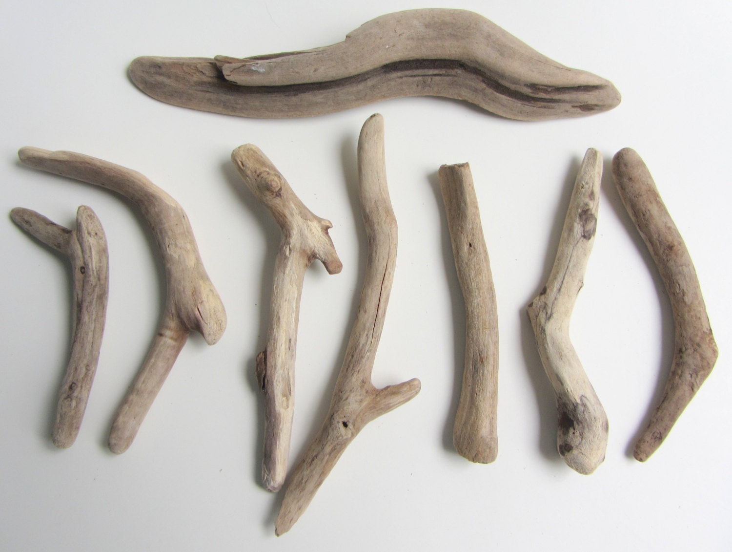 Beach Decor - Driftwood - 8 Curvy Pieces