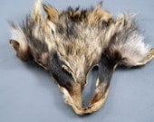 Fur Scraps Finn RACCOON Fur Face RF2513 Arctic Store Arktika Russia