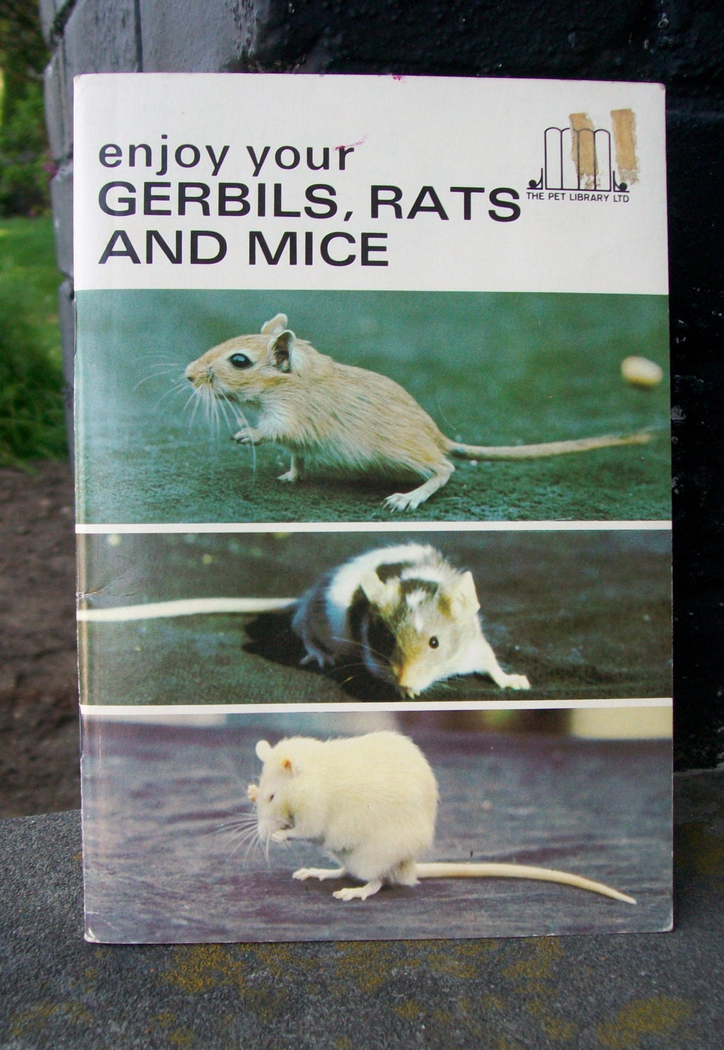 Vintage Enjoy Your Gerbils, Rats and Mice Pet Pamphlet/Book