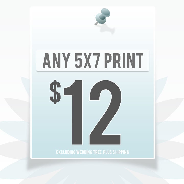 Any print - 5" x 7" (excluding Wedding Tree)