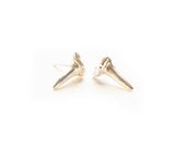 shark tooth studs