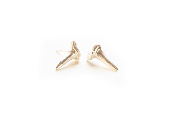 shark tooth studs