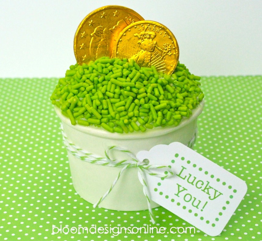 12 Paper Ice Cream Cups with free tags Il_570xn