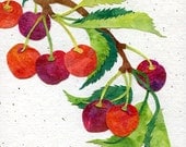 Kitchen Art CHERRIES Fine Art Print Fruit Art Home Décor Garden Country Botanical Art Collage 5x7