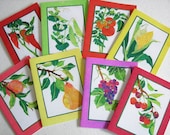 8 VEGETABLE FRUIT CARD Set Autumn & Summer Harvest Food Garden Fine Art Cards