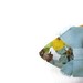 Light Blue Turquoise Bow shoe Clips