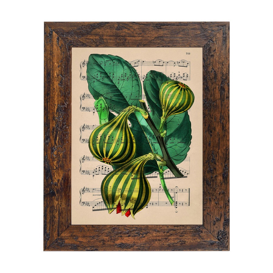 New York Botanical Garden Flora Stripe Print on Unframed Upcycled Bookpage
