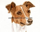 Greyhound dog painting  5x7 print from original watercolor painting dog portrait italian greyhound  painting home decor earthspalette