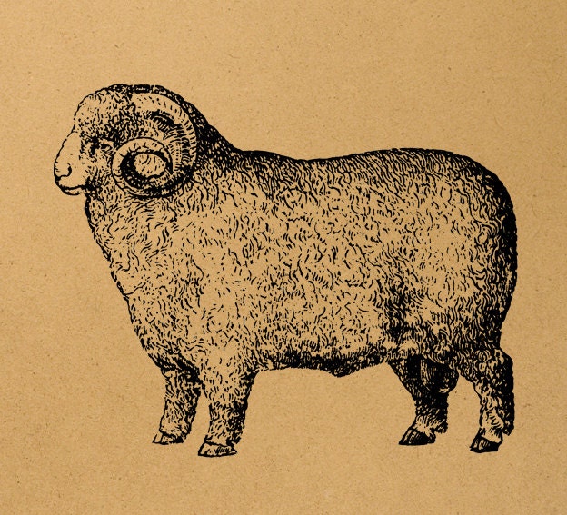 Ram Image Download Sheet Transfer To Pillows T-Shirt Towels Burlap Bag, Item A0803