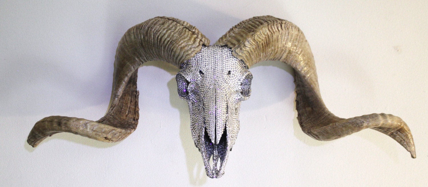 SPRING SALE Ram Skull Taxidermy Aries Large SWAROVSKI Crystals Natural Horns Art Sculpture