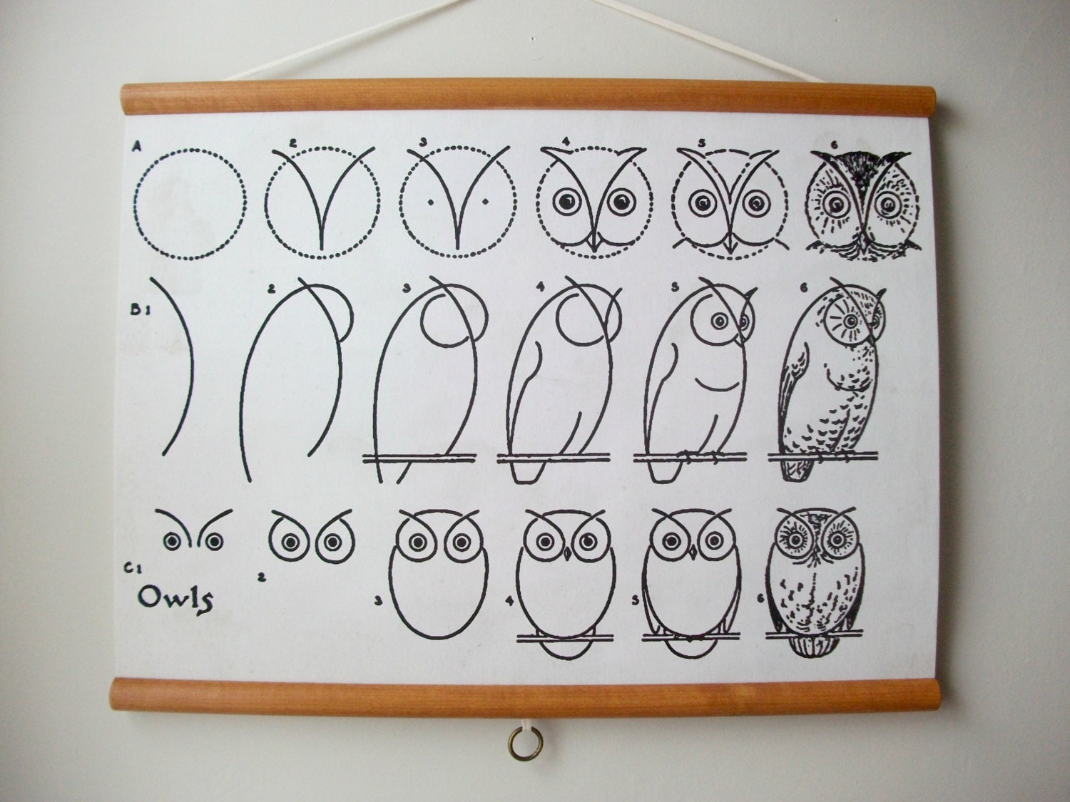 Canvas Vintage Style School Chart with Wood Trim - How to Draw Owls (24"x18")
