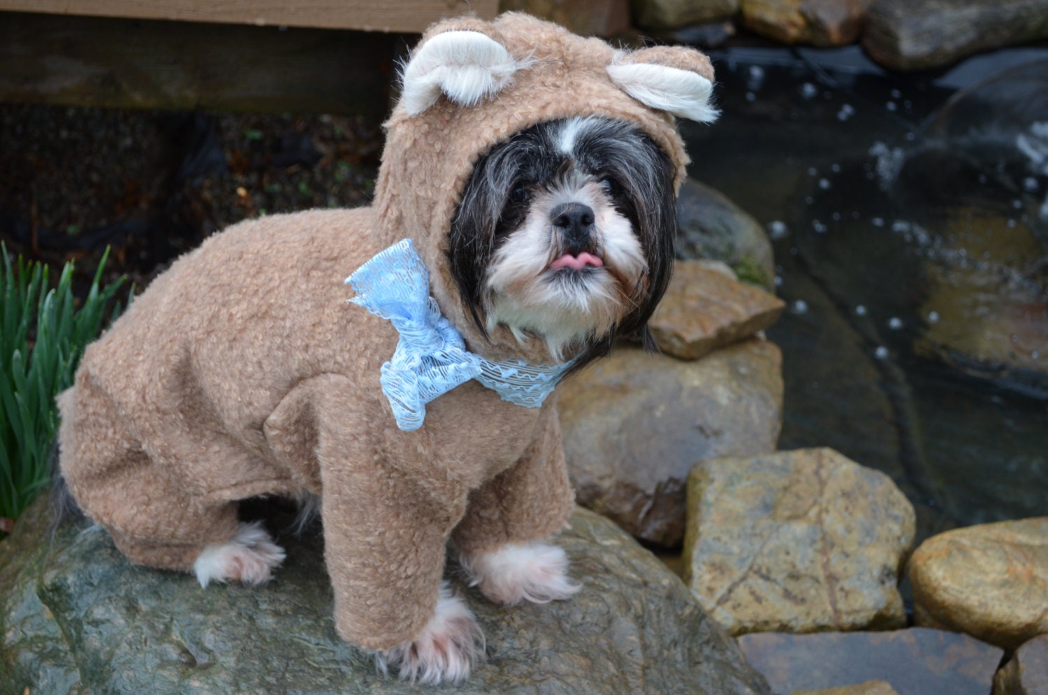 Teddy Bear or Bear Dog Halloween Costume Size X-Small,Small, or  Large