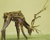 Driftwood Sculpture Reindeer, Large Size is approx. 5' long and 4' tall, horns are detachable