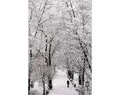 Black and white fine art photography, wall art print, winter wonderland, Europe photography, park city, 5x7 (13x18)F R E E  SHIPPING
