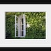 Window photograph, spring decor, nature photography, art print, Europe photography, wall decor, 5x7 (13x18) F R E E  SHIPPING