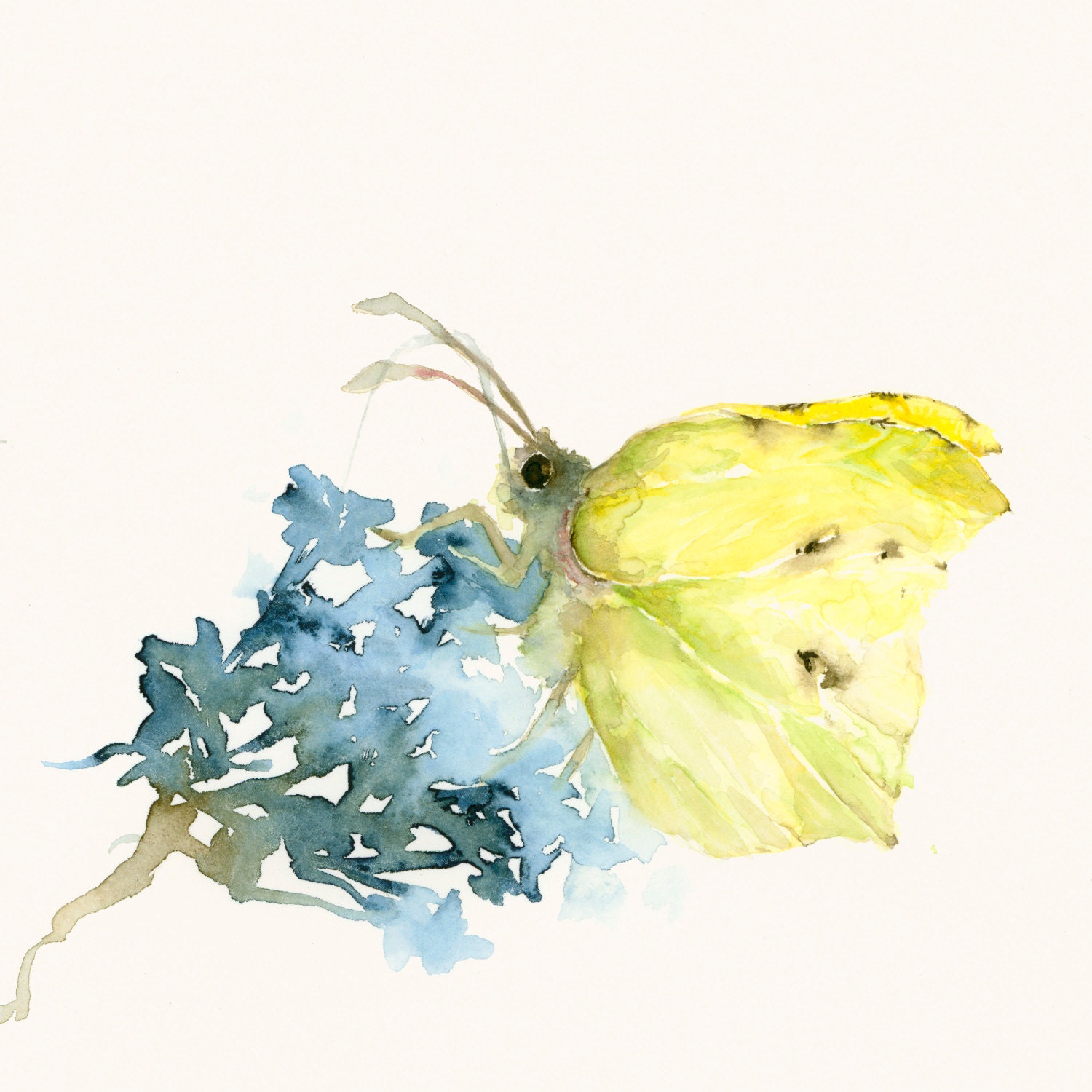 Watercolor Artwork - Butterfly and Flower