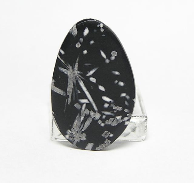 Chrysanthemum Stone Black and White Natural Stone Cabochon 11 carats Free US Shipping