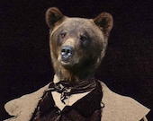 Papa Bear - Vintage Bear 8x8 Print - Athropomorphic - Altered Photo - Collage Art - Funny Animal Photo - Brown - Bear - AnimalFancy