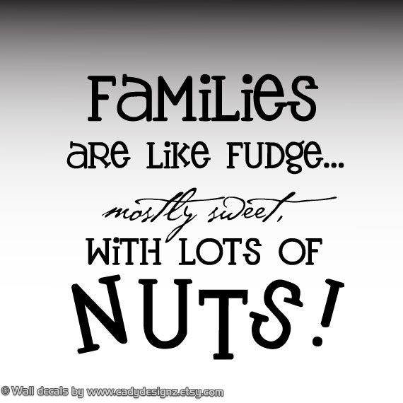 Funny Family Decals - Families Are Like Fudge - Vinyl wall art decal wall quote kitchen wall quote lettering - 12 x12