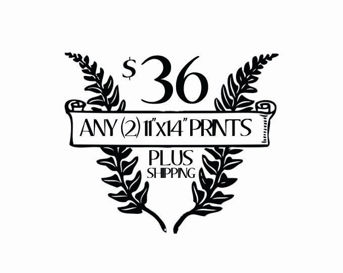 Any (2) 11"x14" Prints in our Shop