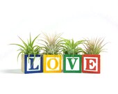 LOVE Vintage-Style Alphabet Block Air Plant Garden