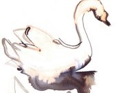original ink bleach and watercolour drawing
