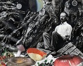 Mushrooms