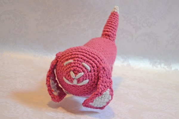 Rose the Dachshund