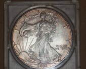 1 Uncirculated American Silver Eagle 1 troy oz of 999 fine Silver Coin in Case Bullion