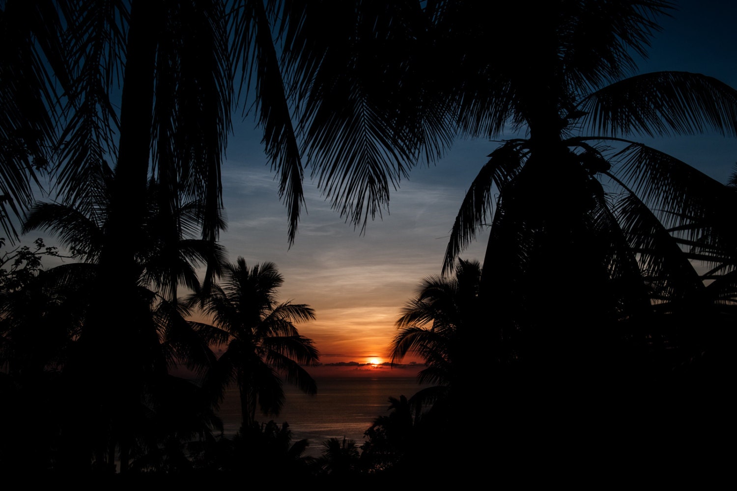 Sunset Through Trees, Ko Tao - Thailand landscape photography, 8x12 print, beach photo, evening tropical sky