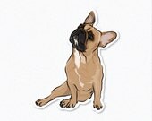 Koos - French Bulldog Decal Sticker